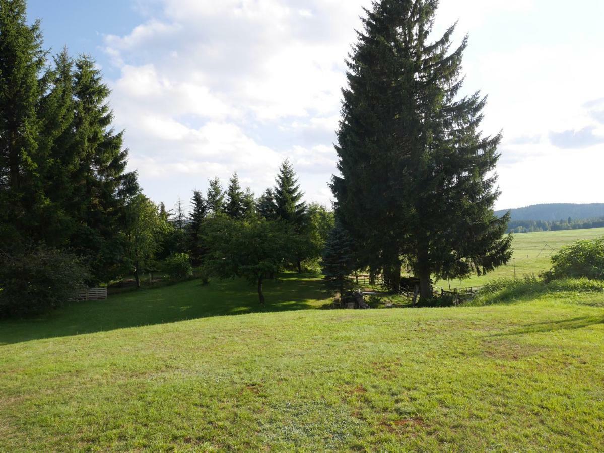 Sofia House Villa Abertamy Buitenkant foto