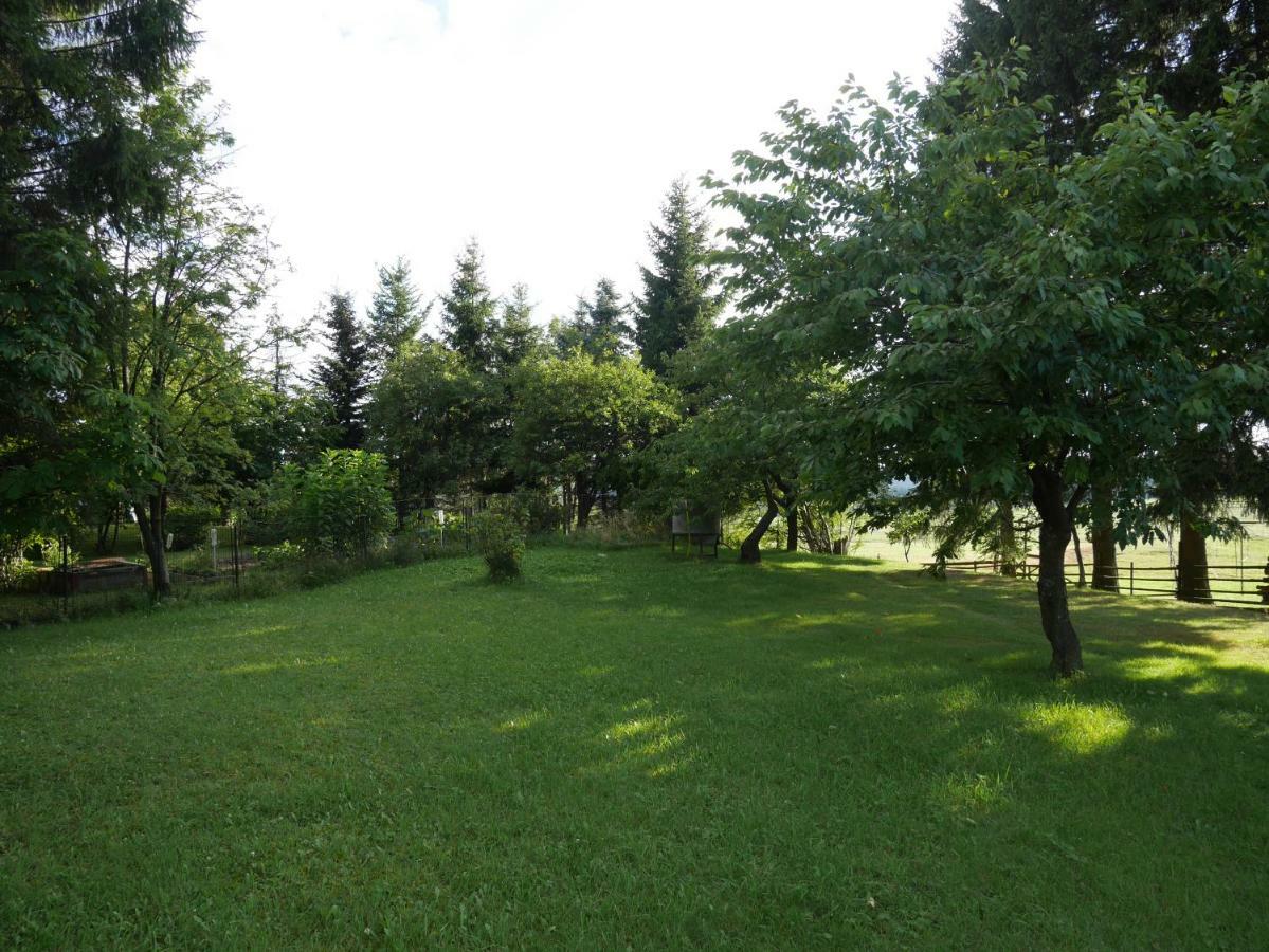 Sofia House Villa Abertamy Buitenkant foto