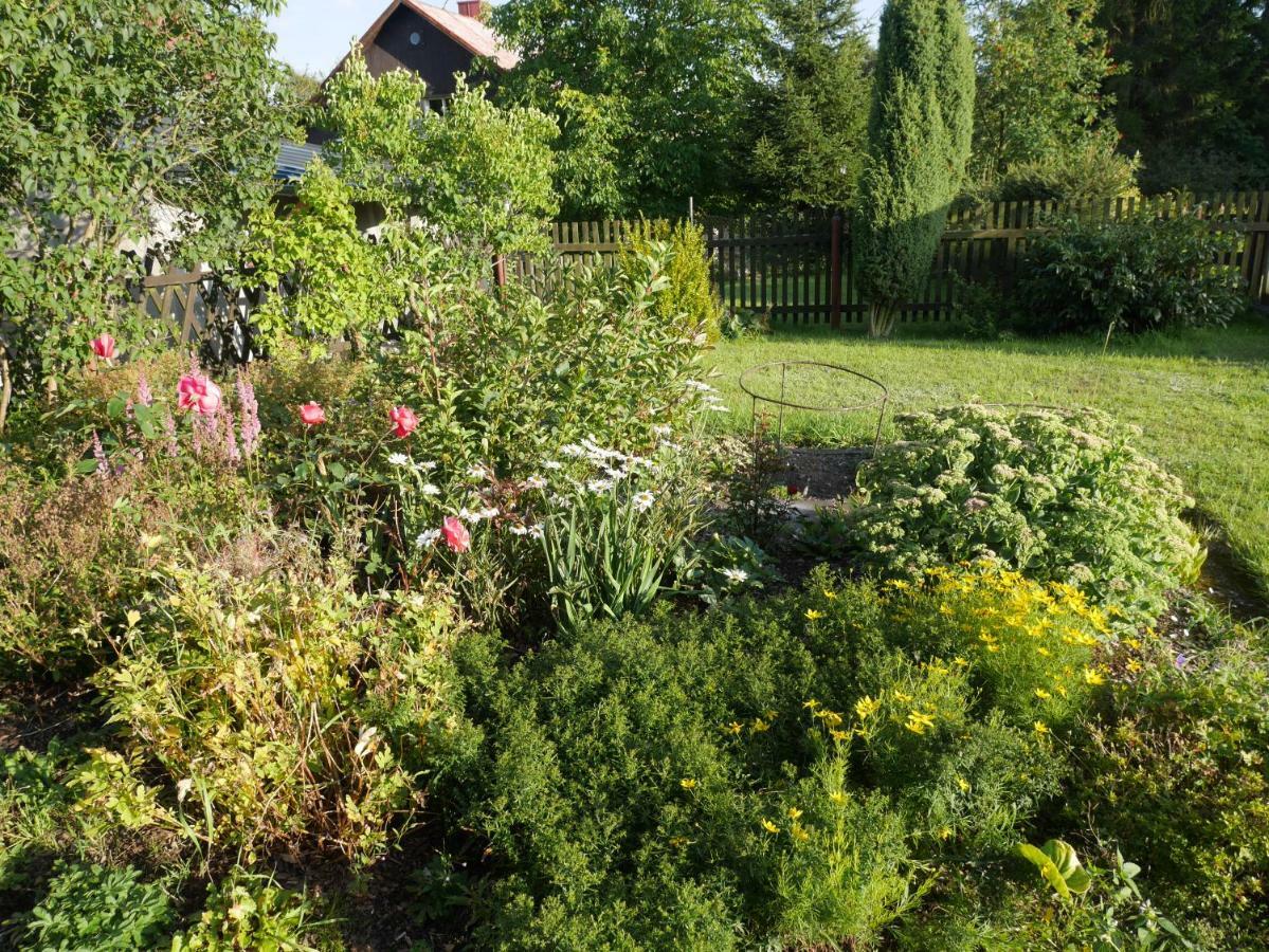 Sofia House Villa Abertamy Buitenkant foto