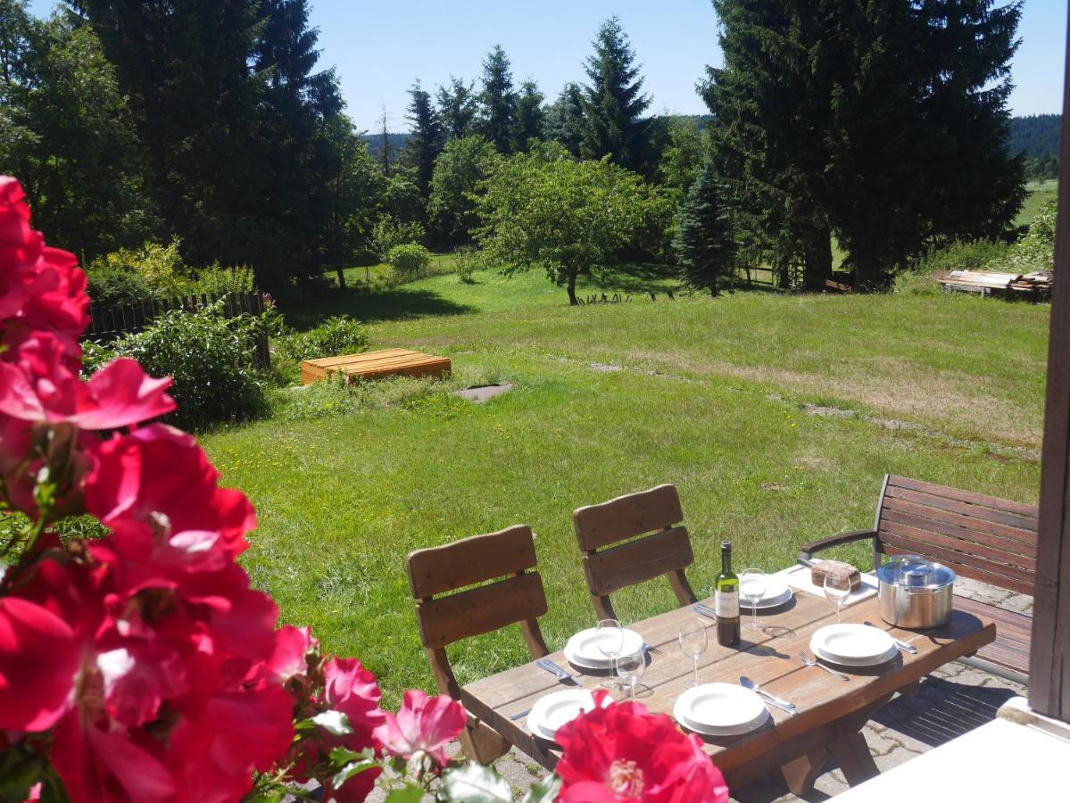 Sofia House Villa Abertamy Buitenkant foto